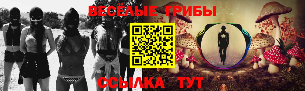 Галлюциногенные грибы мухоморы  как найти закладки  Галлюциногенные грибы Cubensis  Карасук  Вход с VPN 